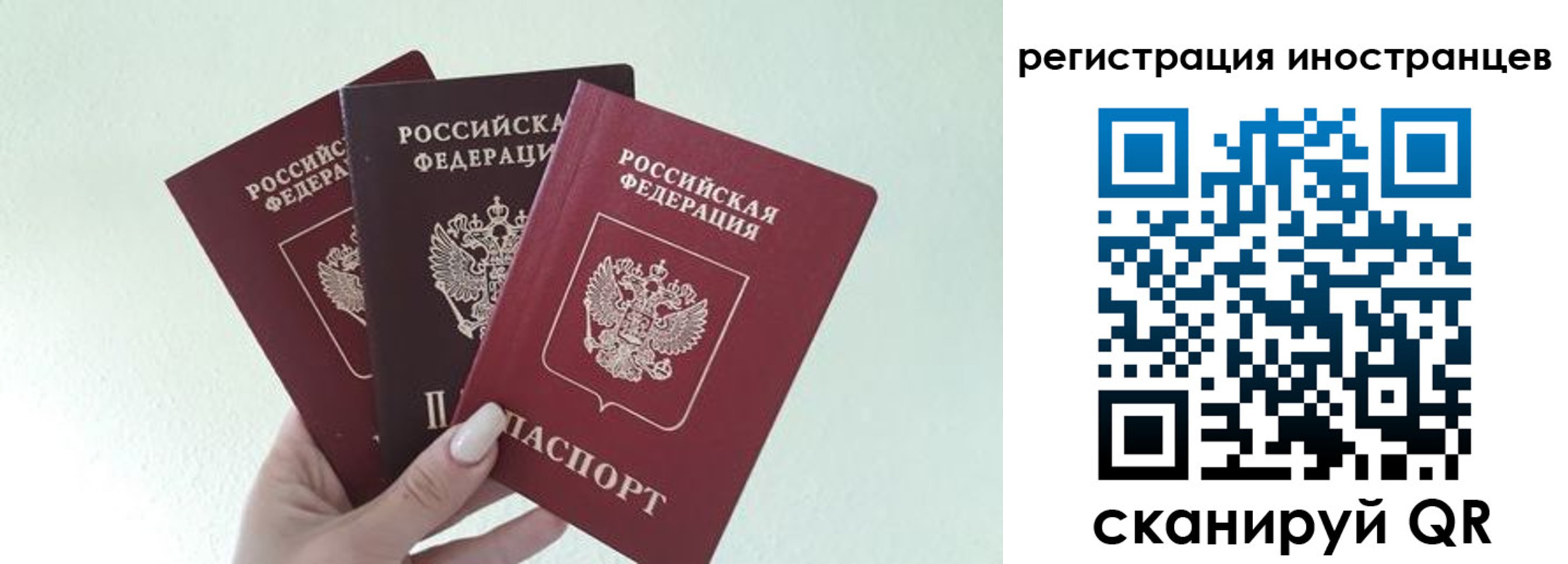 миграционный учет в Елизово