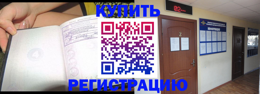 временная регистрация 2025 в Елизово