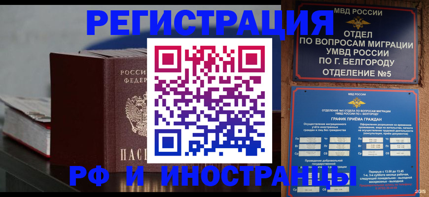 прописка 2025 в Елизово